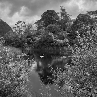 Abbaye de Kylemore, Connemara    |   17  /  47    | 